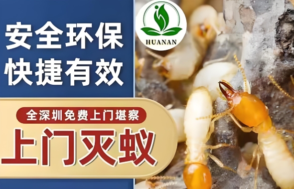 深圳市建城白蚁防治有限公司