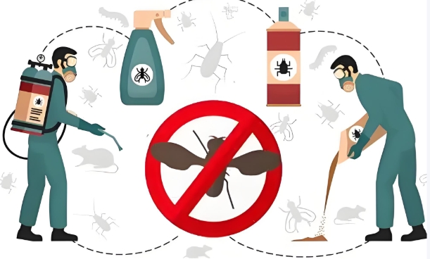 深圳市建城白蚁防治有限公司